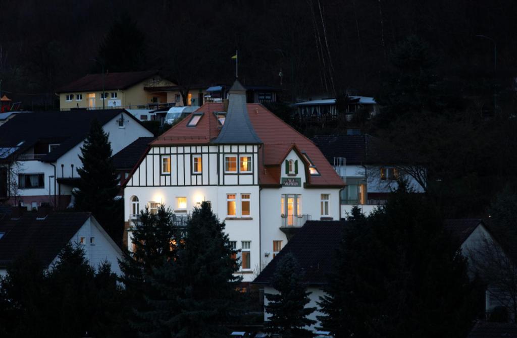 Villa Waldfrieden - Design Trifft Budget Annweiler am Trifels Exterior photo